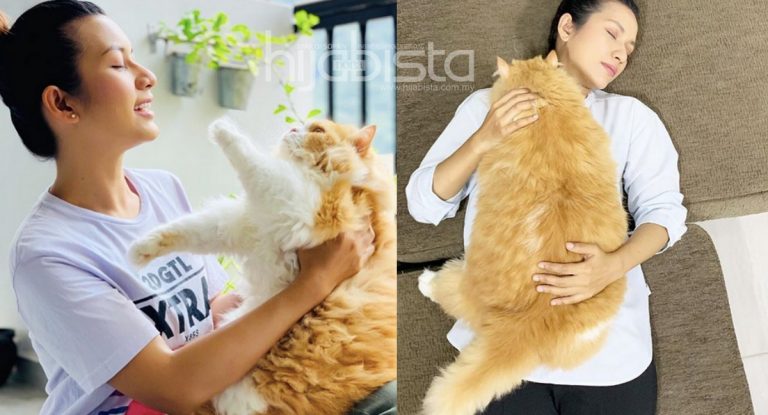 Kucing Dan Kedudukannya Dalam Islam. Ini Manfaatnya Bila Kita Menyayangi Kucing.