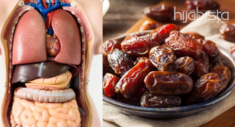 Ini Jadinya Dengan Badan Jika Ambil 3 Biji Kurma Setiap Hari Dalam Seminggu. Hasilnya Pasti Menggagumkan!