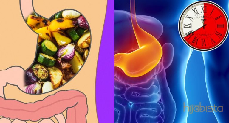 Sebelum Berdiet, Kena Tahu Berapa Lama Proses Makanan Dicerna Dalam Perut. Jangan Biar Terus Jadi Lemak!