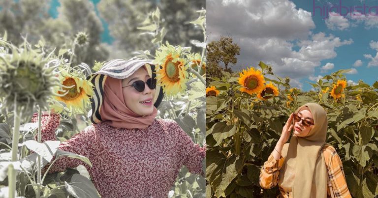 Perfect Untuk OOTD, Taman Bunga Matahari Kini Ada Di Perlis. Rasa Macam Luar Negara!