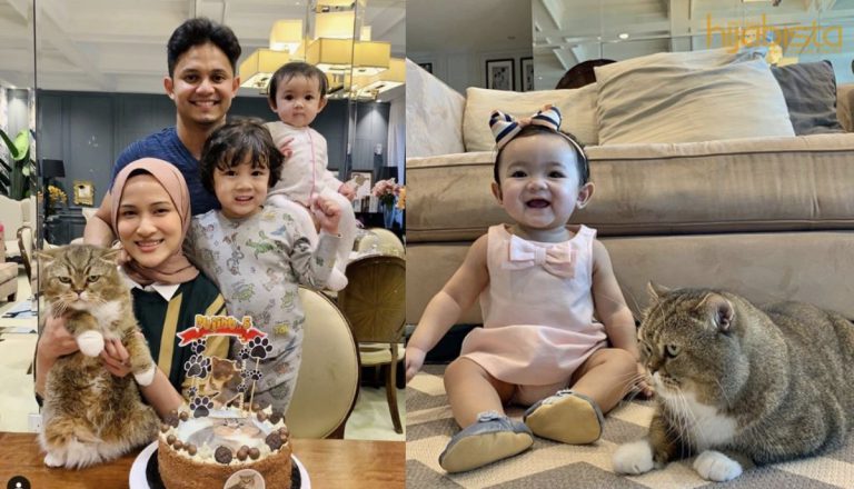 Kucing Dan Kedudukannya Dalam Islam. Ini Manfaatnya Bila Kita Menyayangi Kucing.