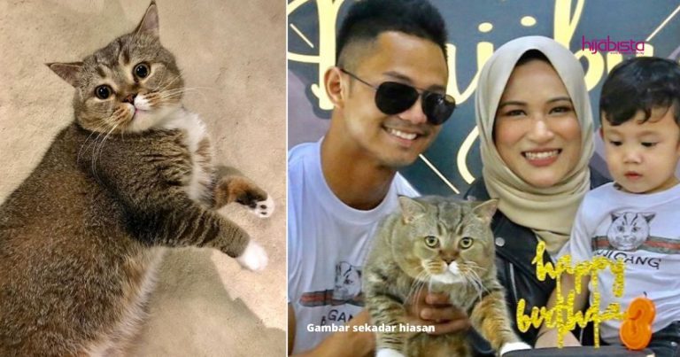 Bila Sayang Kucing, Wanita Ini Kongsi Banyak ‘Belajar’ Kelebihan Makhluk Comel Ini