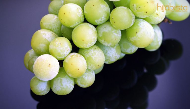 Bangun Tidur Pasti Langsing! Cuba Minum 7 Minuman Ini Sebelum Tidur.