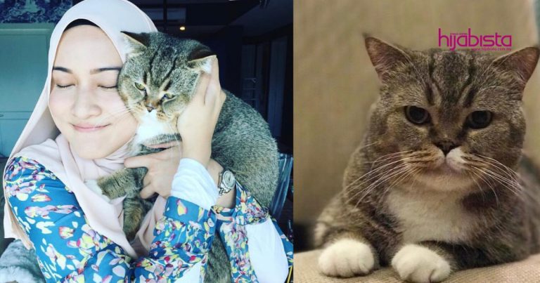 Tulus Dan Bertanggungjawab, Ini Antara Sebab Wanita Si Pencinta Kucing Adalah Calon Isteri Terbaik