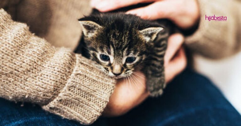 Bukan Manusia Kepada Manusia Je Sebar Covid-19, Haiwan Kepada Manusia Pun Boleh Termasuk Haiwan Peliharaan