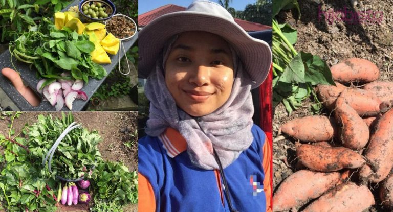 Lebih 30k Ulang Kicau Di Twitter, Hijabi Yang Dahulu Seorang Pereka Kini Lebih Selesa Menjadi Petani Moden