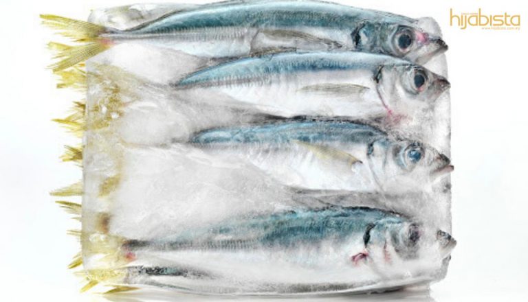 Ramai Yang Tak Tahu Cara Nyahbeku Bahan Mentah Dari Peti Sejuk. Ini Pendedahan Seorang Doktor