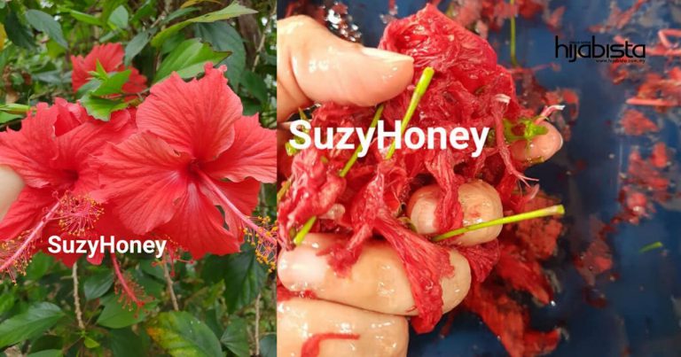 Umur Sudah 60 Tahun Tapi Rambut Lebat Hitam, Wanita Ini Kongsi Petua Rambut Idaman Guna Bunga Raya