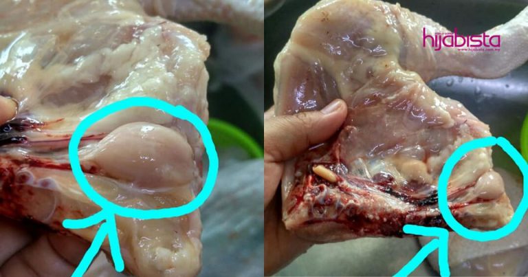 Elak Ayam Berbau Hanyir Selepas Dimasak, Wanita Ini Kongsi Cara Bersihkan Ayam Dengan Betul