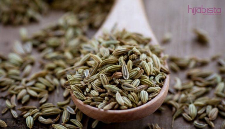 19 Manfaat Biji Adas Untuk Kulit, Rambut, dan Kesihatan. Paling Hebat Mengurangkan Penyimpanan Lemak & Menyekat Selera Makan