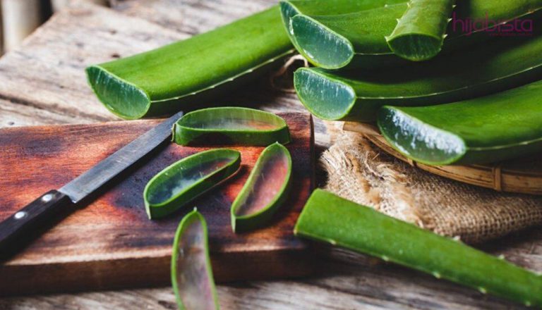 Kembalikan Kesempurnaan Kulit Anda Dengan 14 Produk Aloe Vera Gel Ini