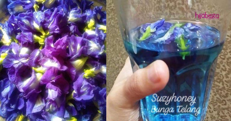 Teh Bunga Telang Jadikan Wajah Awet Muda, Tegang Tak Berkedut, Anak Dara Atau Mak Dara Boleh Amalkan