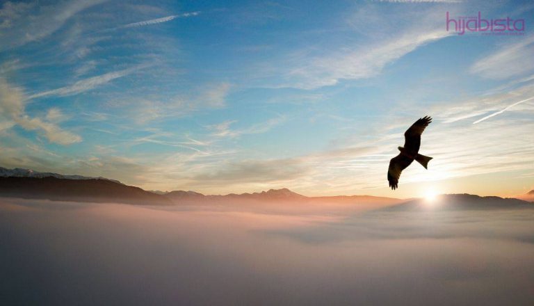 Dua Waktu Ini, Malaikat Tidak Menemani Manusia, Santunilah Diri Agar Sentiasa Didampingi Malaikat.