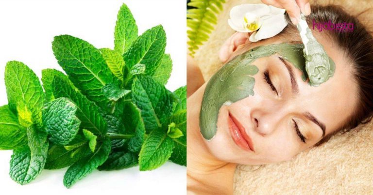 Masker Pencerah Wajah,  Bahan Utama Daun Pudina & Madu Campur Dengan Lemon Atau Pisang