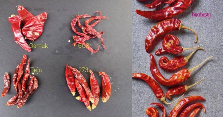 Kenali Jenis-jenis Cili Kering Sebelum Beli Barulah Telinga Tak ‘Berasap’ Kepedasan