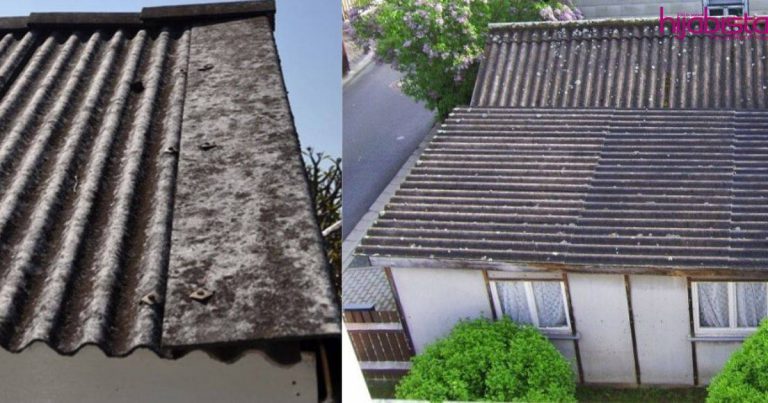 Bukan Atap Biasa, Ia Boleh Jadi Punca Anda Terdedah Pada Kanser Paru-Paru Mesothelioma