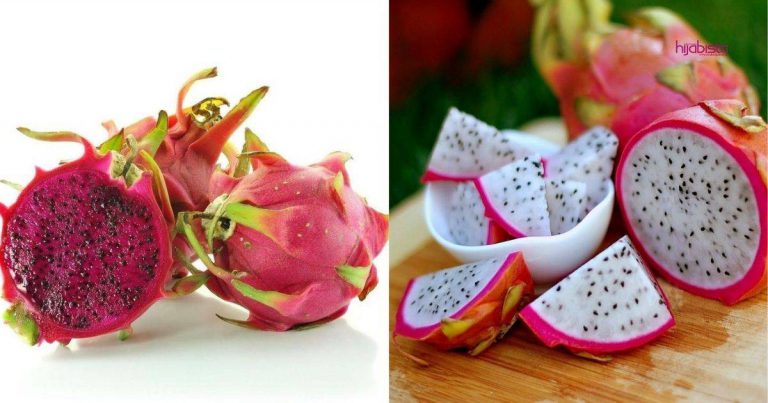 Air Kencing & Najis Warna Merah Lepas Makan Buah Naga, Bahaya Atau Tidak Sebenarnya