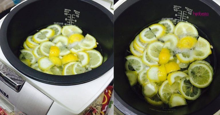 Berat Badan Turun, Perut Pun Kempis, Petua Air Detoks Campuran Lemon, Halia & Bawang Putih Ini Memang Power!