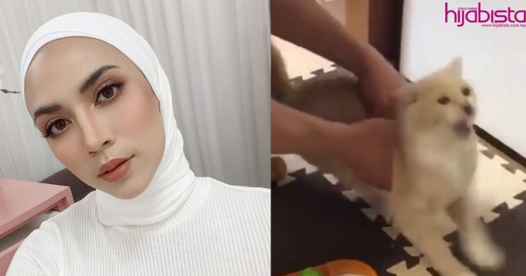 “Belai Mereka Bagi Elak Rasa Takut”- Diana Danielle Kongsi Tip Atasi Masalah Kucing Sawan