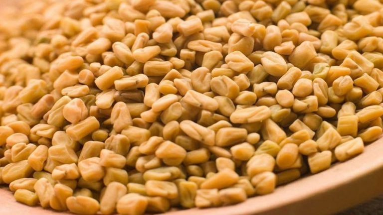 khasiat halba untuk payudara