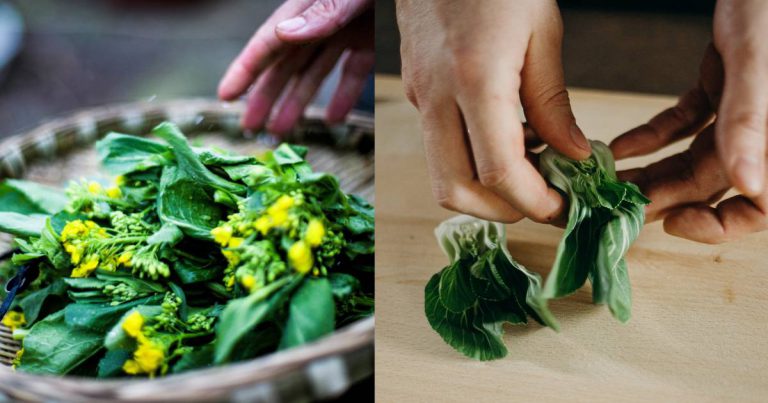 Kebaikan Sawi. Sayur Yang Murah Dan Sangat Berkhasiat.