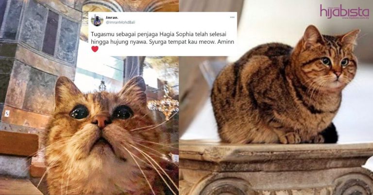 Bersyukur Pernah Bertemu, Netizen Luahkan Rasa Sedih Bila Gli, Penjaga Hagia Sophia Mati