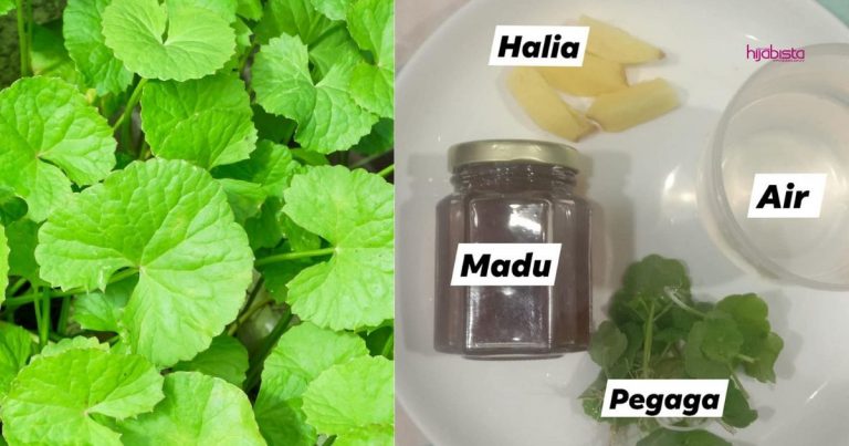 Wanita Ini Kongsi Cara Kulit Wajah Maintain Berseri & Awet Muda, Hanya Minum Jus Pegaga