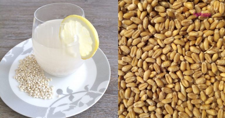 Rahsia Minum Air Barli Bukan Sahaja Badan Slim, Kulit Pun Jadi Glowing, Modal Tak Sampai RM5
