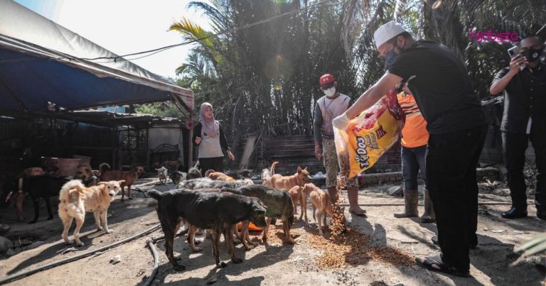 Ebit Lew Mahu Sponsor Tanah Atau Gudang Untuk 300 Anjing & 130 Kucing Pak Mie Shelter