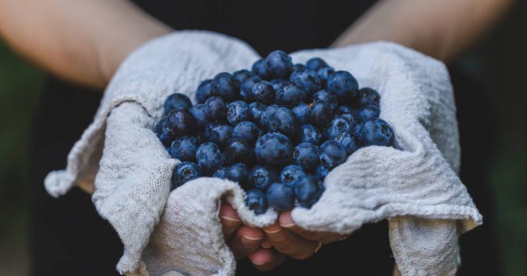 Melawan Tanda Penuaan, Ini Kelebihan Buah Beri Biru