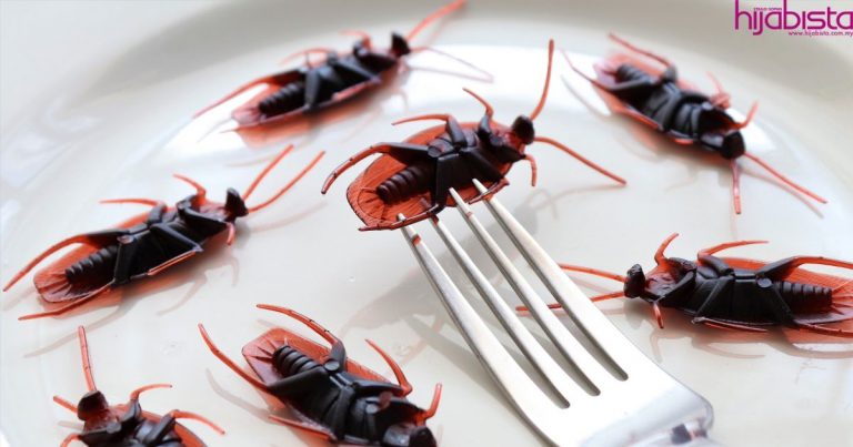 Gerun Lihatnya Terbang, Ini Cara Pantas Untuk Matikan Lipas Dalam 2 Minit