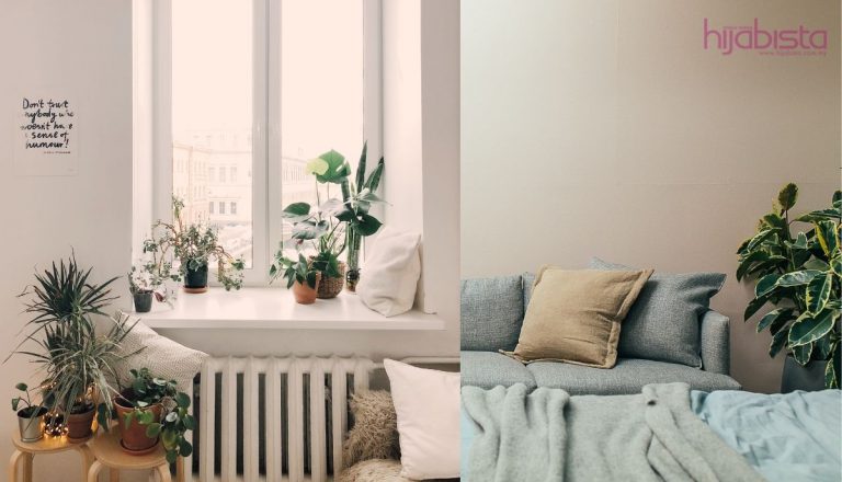 Dapatkan Tidur Malam Yang Lebih Baik Dengan Tanaman Bilik Tidur Pembersih Udara Ini