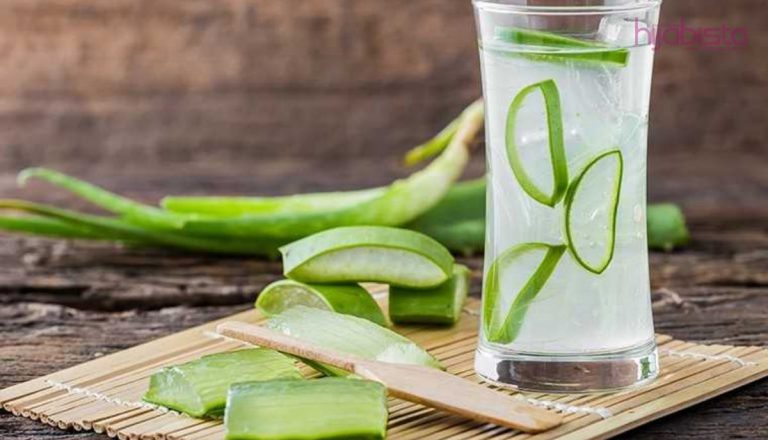 Minum Jus Lidah buaya, Bukan Sahaja Mencantikkan Kulit Malah Selesaikan Masalah Kesihatan Anda