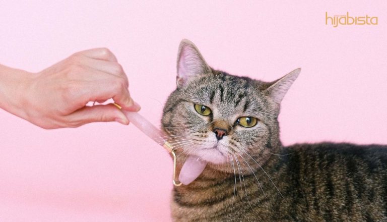 ‘Face Roller’ Mampu Runcingkan Wajah Dan Badan. Ini Mitos Dan Faedah Penggelek Ajaib Yang Perlu Anda Tahu