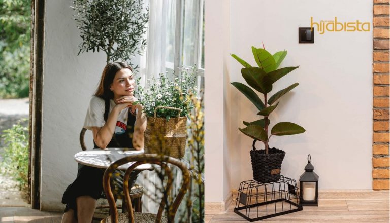 Serlahkan Sisi Kreatif, Hiasi Ruang Yang Sesuai Dengan Citarasa Anda. Pokok Terapi Kecantikan!