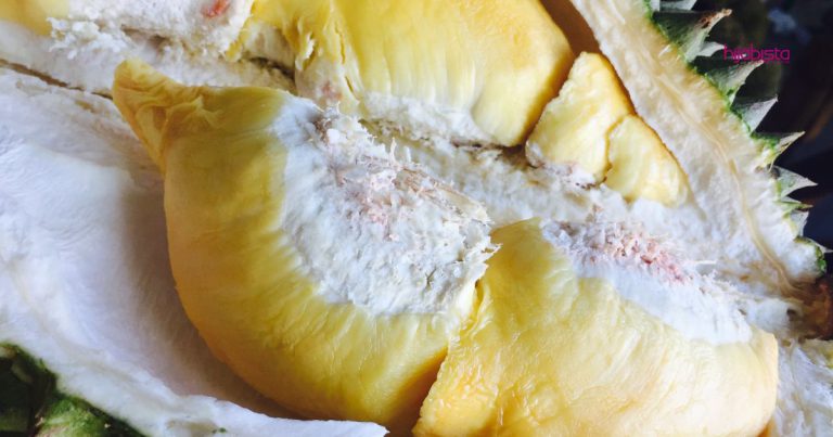 Makan Buah Durian Memanglah Sedap Tapi Ada Fakta Yang Anda Kena Tahu Sebelum Makan ‘Raja Buah’ Ini