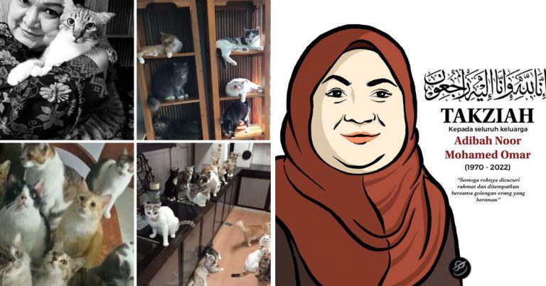 Adibah Noor Insan Yang ‘Terlalu Istimewa,’ Pencinta Kucing & Penyelamat Kucing Jalanan