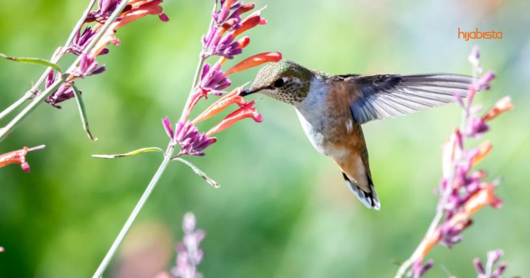 Pesan Dr. Haji Mohd Fadzilah Kamsah; Buat Semua Perkara Ini Jika Mahu Rezeki Sentiasa Melimpah & Mencurah-curah