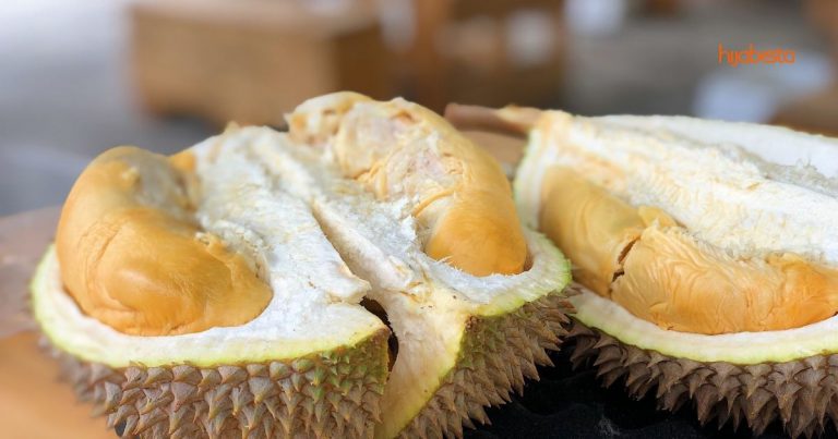 Kebaikan Minum Air Dari Pangsa Lepas Makan Durian Bukan Cerita Dongeng, Saintis Ini Kongsi Faktanya