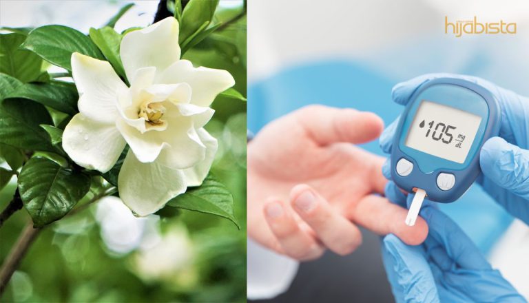 Bunga ‘Kaca Piring’ Bukan Sekadar Cantik, Juga Beri Manfaat Sebagai Ubat Atasi Diabetes