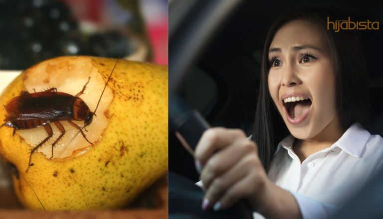 Jerit Sekuat Hati Pun Tidak Membantu, Ikuti Tip Untuk Menghalau Lipas Keluar Dari Kereta