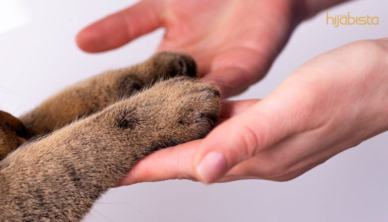 Si ‘Bulus’ Memberi Keceriaan dan Kurangkan Serangan Jantung