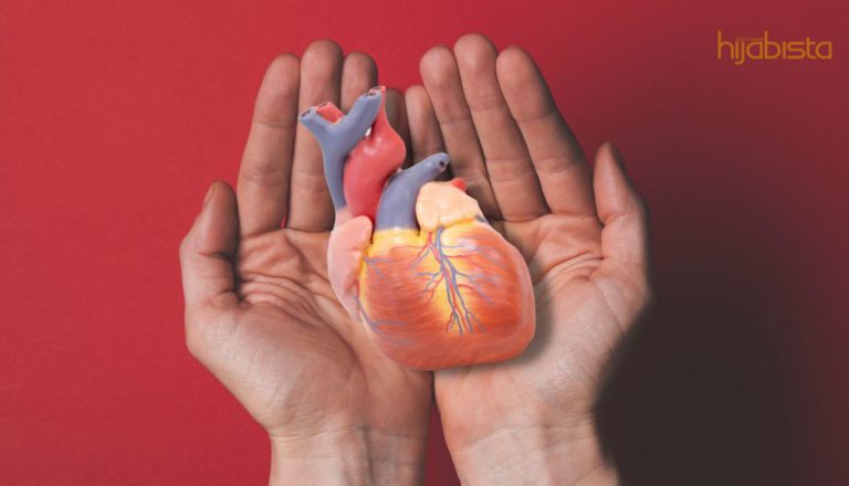 Tetap Berdegup Meski pun Di Keluarkan Dari Badan, Ketahui Fakta Menarik Sempena Hari Jantung Sedunia!