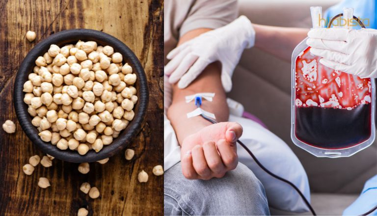 Ingatkan Sekadar ‘Peneman Perjalanan’, Kacang Kuda Membantu Masalah Darah Anemia