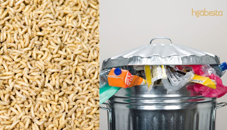 Geli! Ada Yang ‘Merayap’ Di Ruang Tamu, Ikut Tip Untuk Elak Ulat Sampah Membiak