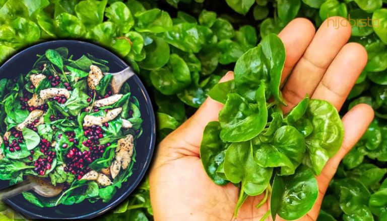 Muka Jadi Lebih Muda Bila Makan Bayam Brazil, Ketahui Lagi 5 Manfaatnya!