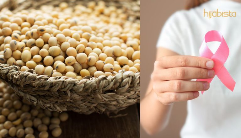 Mitos Kacang Soya Penyebab Kanser Payudara Dan Prostat? Kaji Terlebih Dahulu
