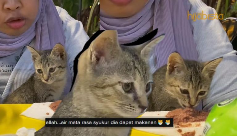 Kucing Jalanan ‘Menangis’ Saat Diberi Makan, Buat Netizen Sebak!