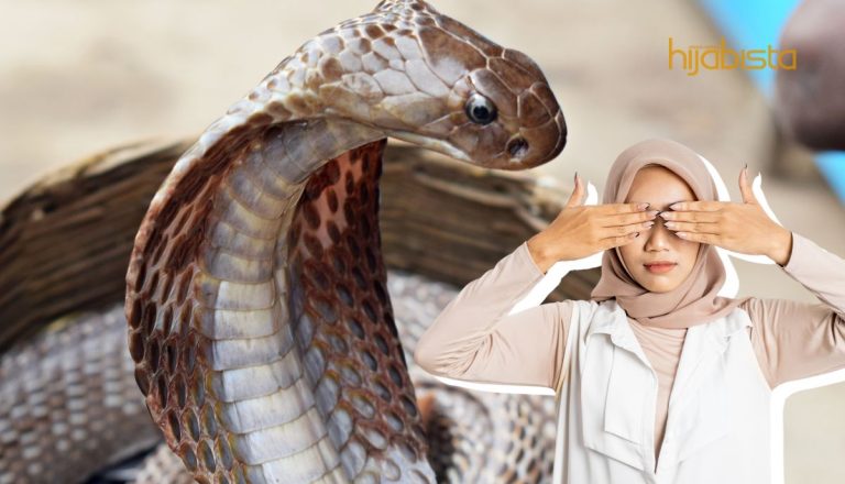 Takut Ada Ular Masuk Dalam Rumah? Guna 3 Bahan Mudah Ini Untuk ‘Boikot’ Binatang Berbisa Itu