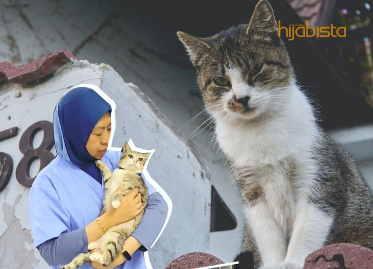 Pegawai Veterinar Ini Kongsi Beberapa Petua Jika Mahu Tinggalkan Kucing Ketika Pulang Beraya